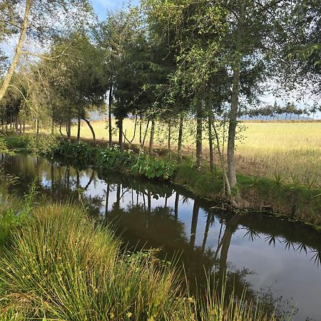 Cabana El Rio La Grande Zacatlán Buitenkant foto